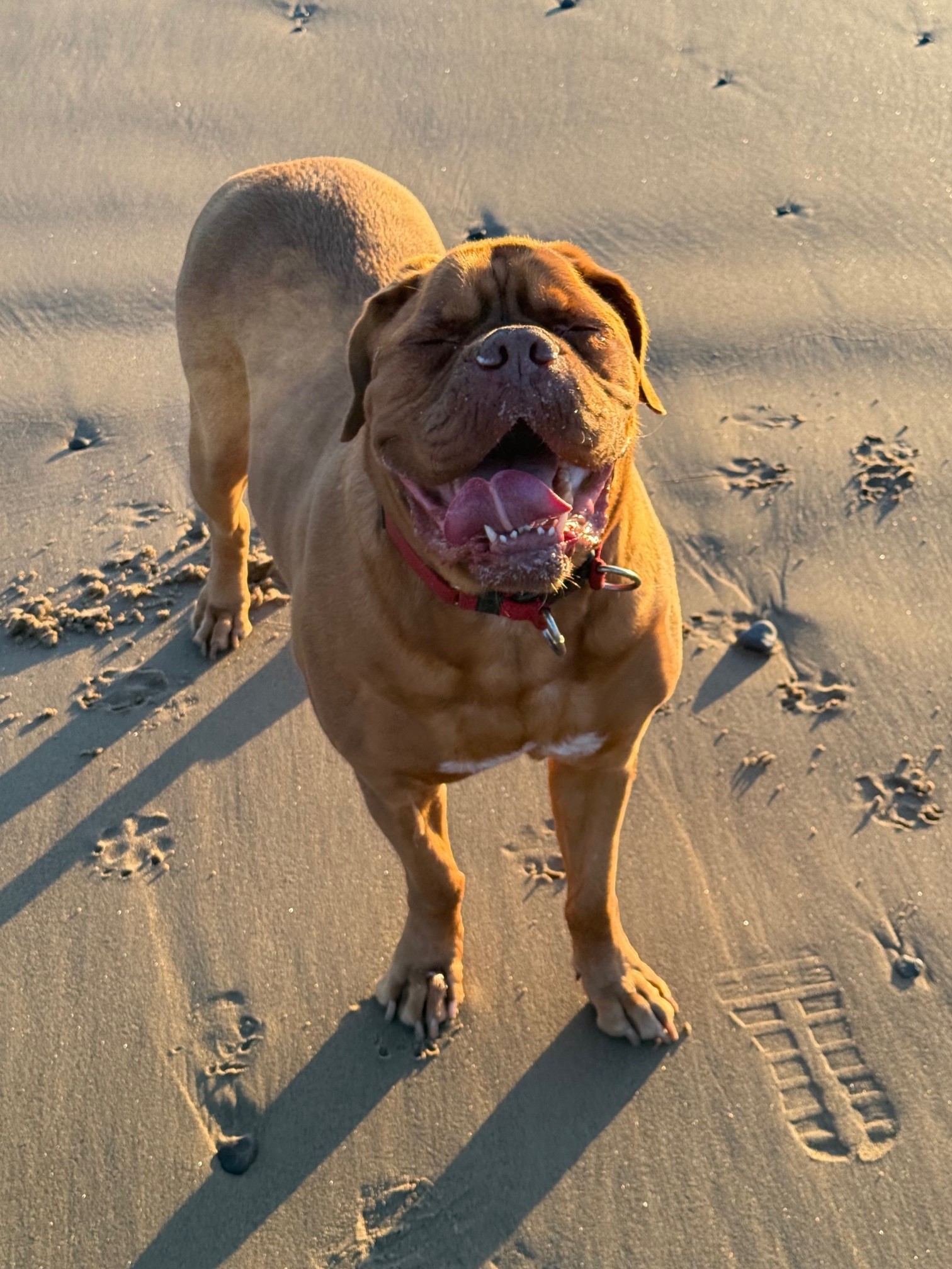 Nala